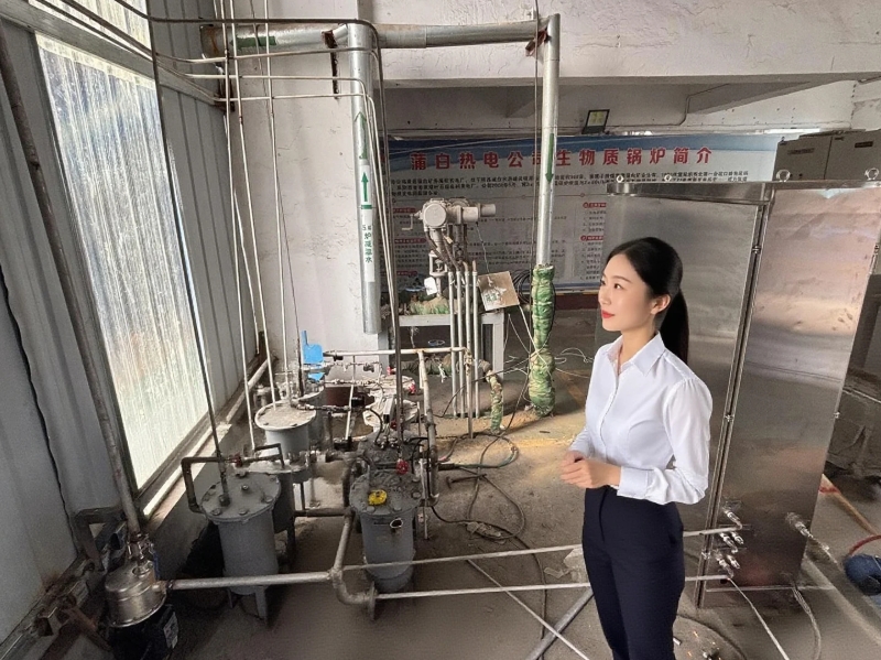 电厂锅炉水质安装现场